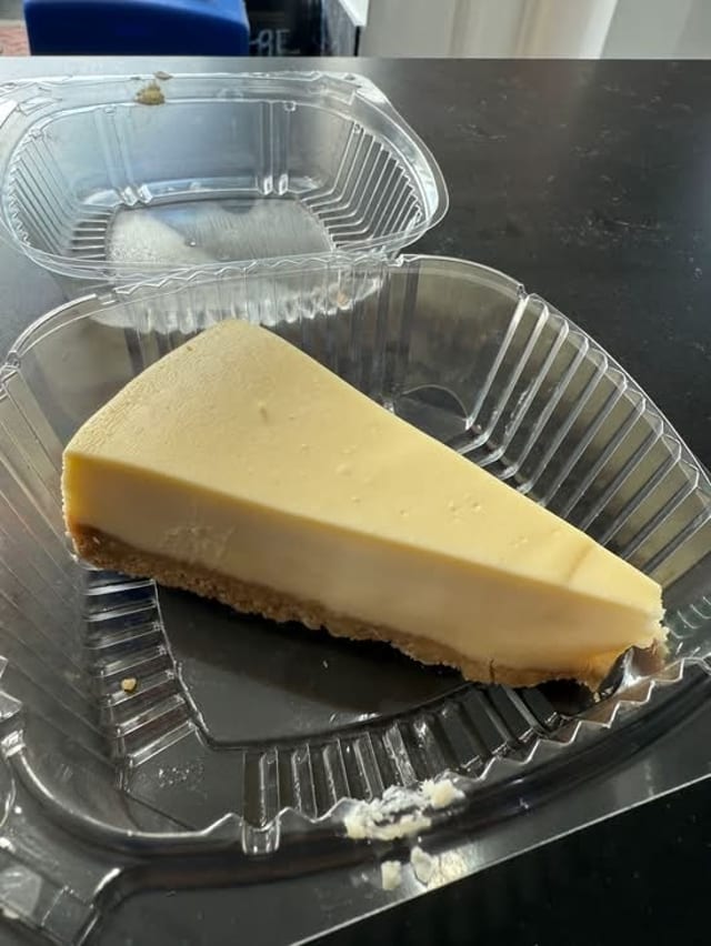 Plain Cheesecake (1).